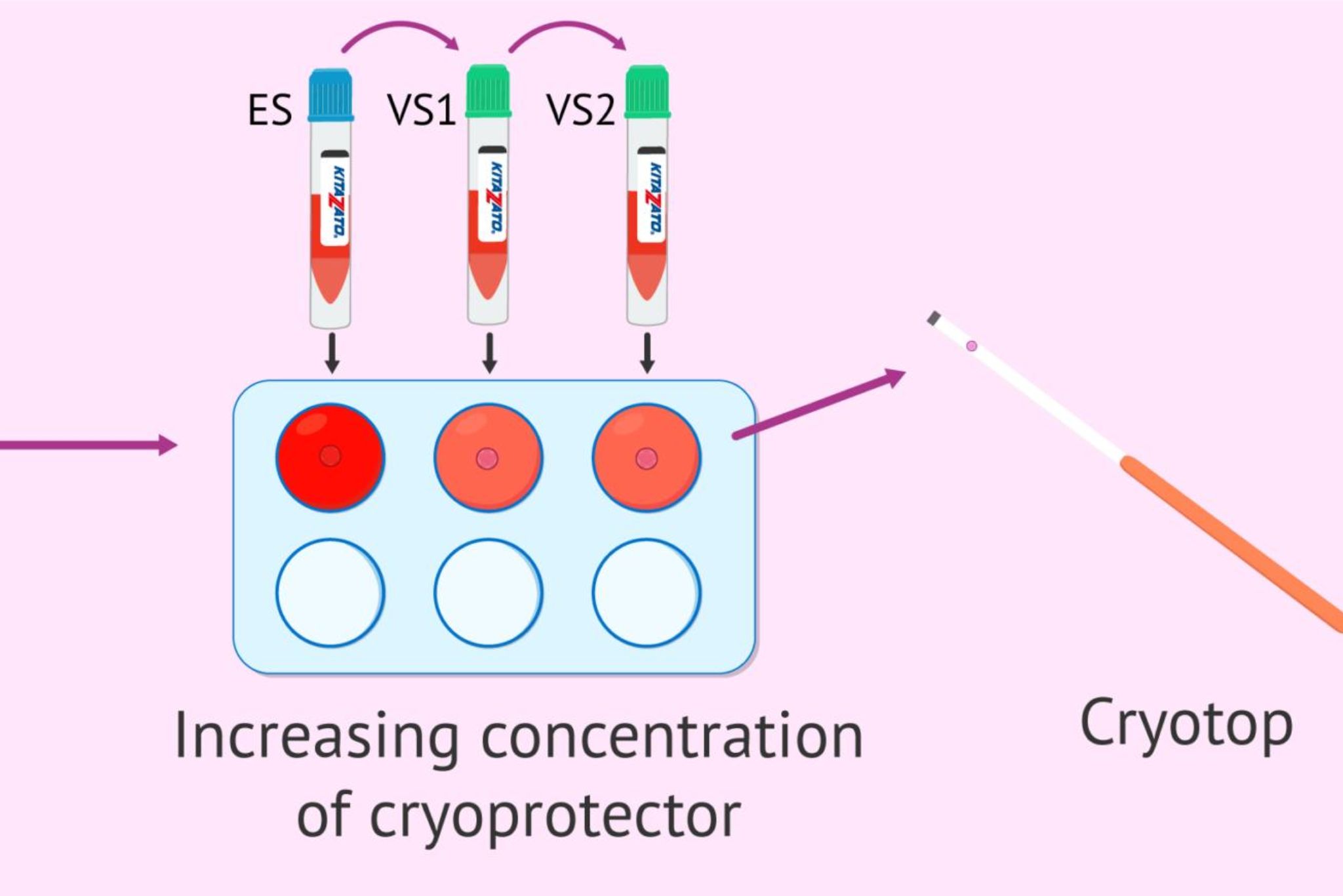 Embryo Vitrification