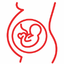 CUMULATIVE PREGNANCY