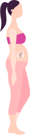 Baby Growth