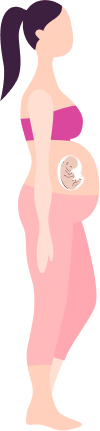 Baby Growth